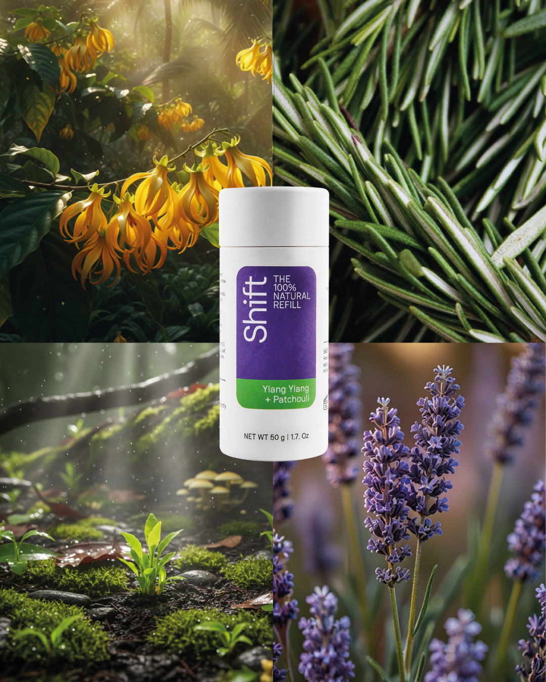 Ylang Ylang & Patchouli